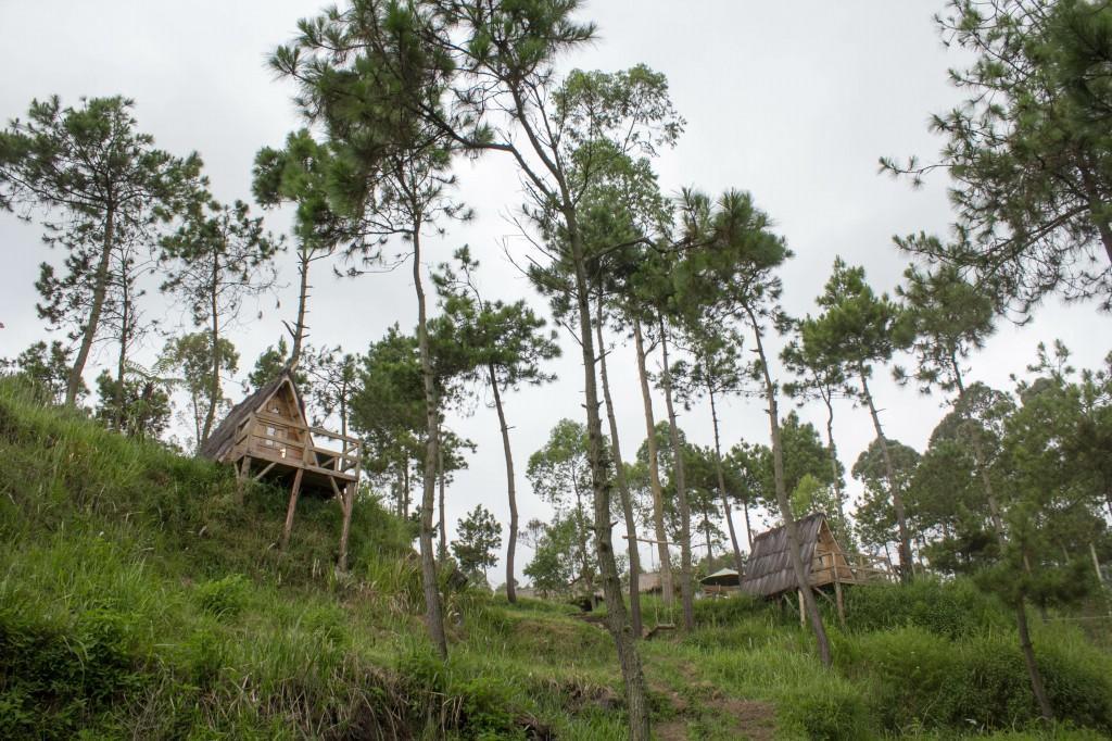 Papandayan Camping Ground Cileuleuy Bagian luar foto