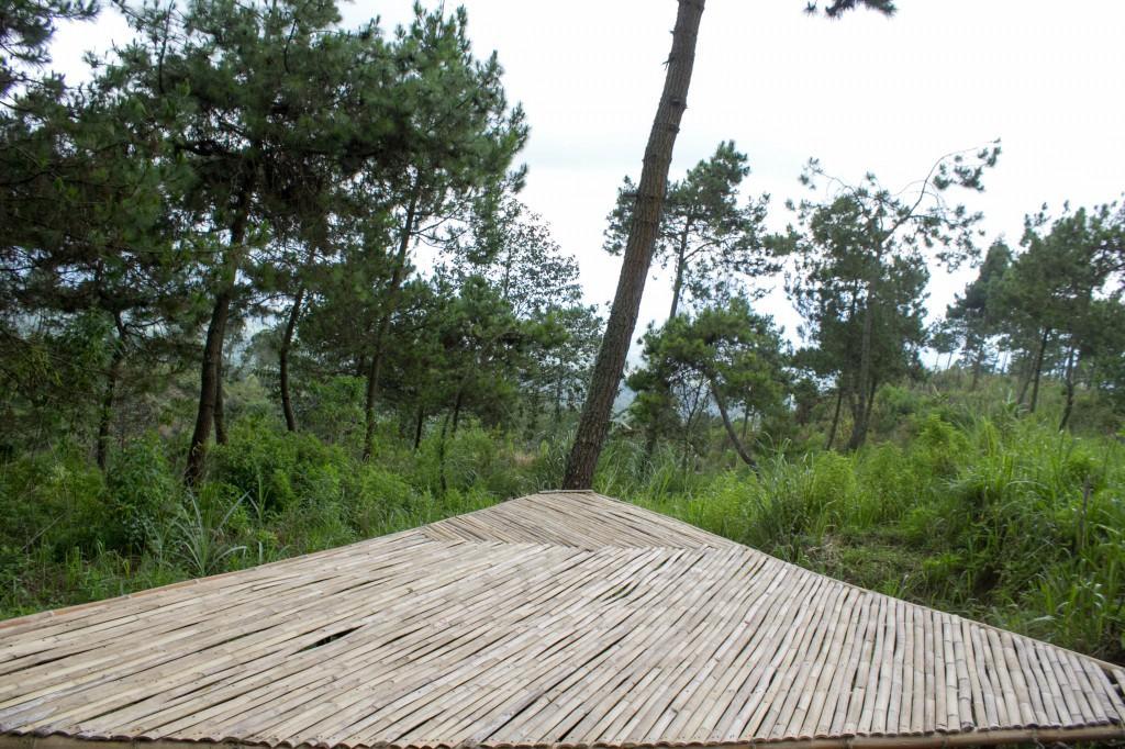 Papandayan Camping Ground Cileuleuy Bagian luar foto