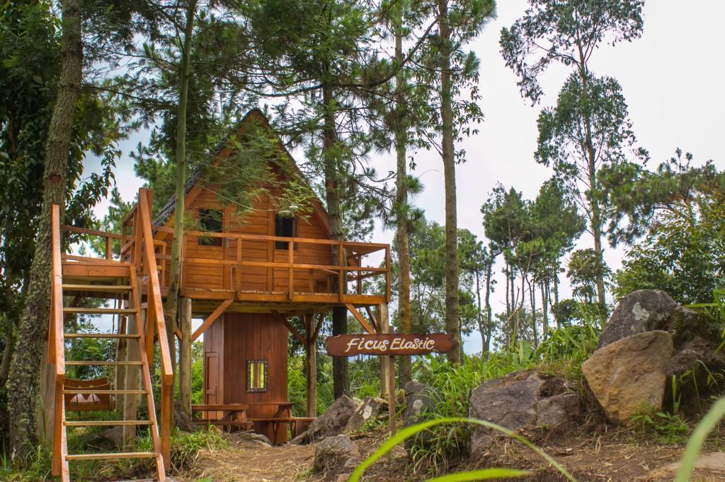 Papandayan Camping Ground Cileuleuy Bagian luar foto