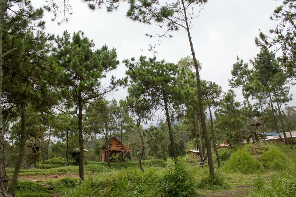 Papandayan Camping Ground Cileuleuy Bagian luar foto