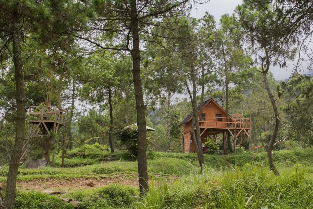 Papandayan Camping Ground Cileuleuy Bagian luar foto